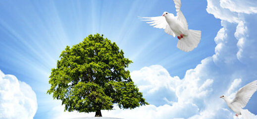 品牌設(shè)計(jì)